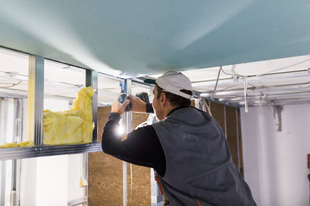 Types of Insulation We Offer in Ridgeland, SC