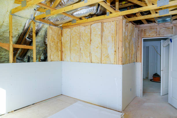 Best Geographic-Specific Insulation Services in Ridgeland, SC