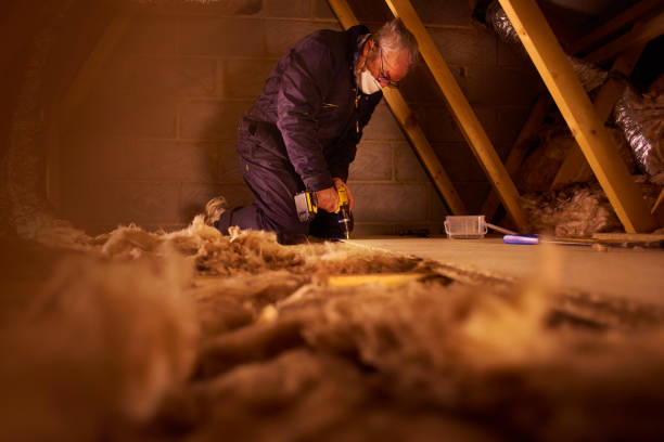 Best Eco-Friendly Insulation in Ridgeland, SC